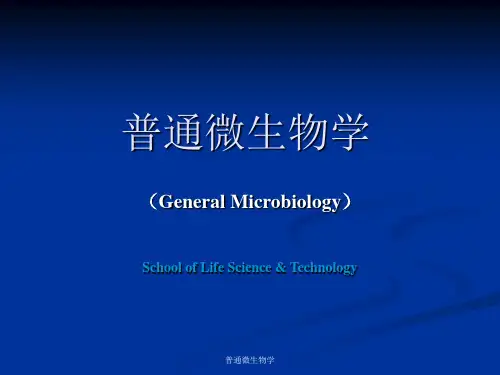 普通微生物学 ppt课件