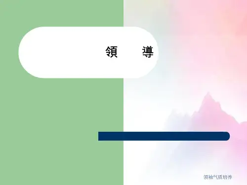 领袖气质培养