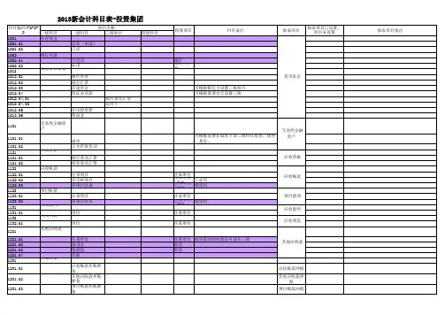 投资集团2013年科目表