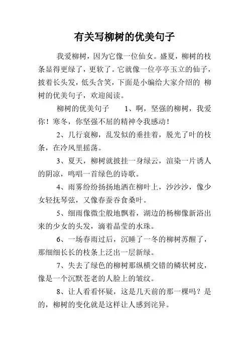 有关写柳树的优美句子