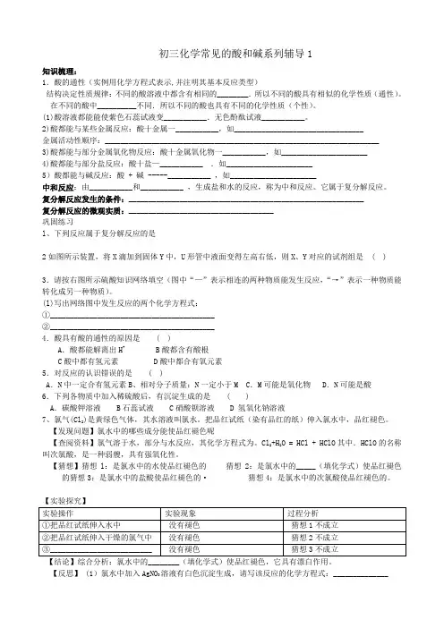 初三化学 常见的酸和碱