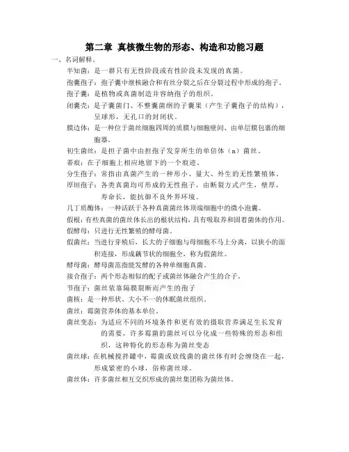 微生物 第二章 真核微生物的形态