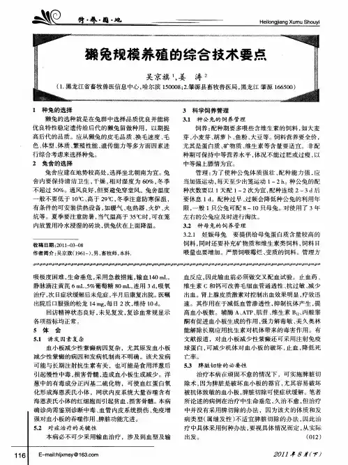 獭兔规模养殖的综合技术要点