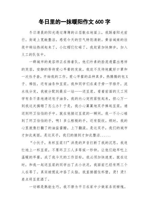 冬日里的一抹暖阳作文600字_作文