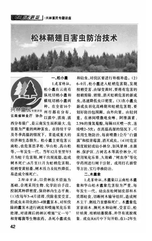 松林鞘翅目害虫防治技术