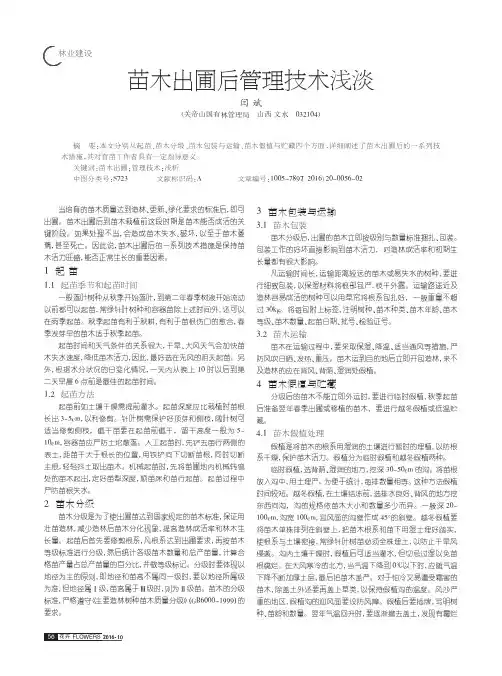 苗木出圃后管理技术浅淡