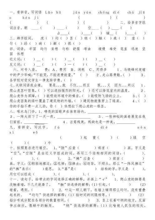 爬山虎的脚练习题
