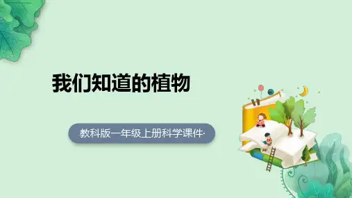 一年级科学我们知道的植物课件
