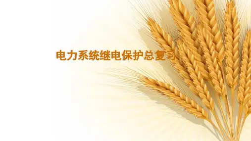 电力系统继电保护 总复习