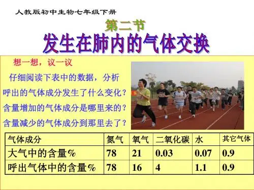 发生在肺内的气体交换