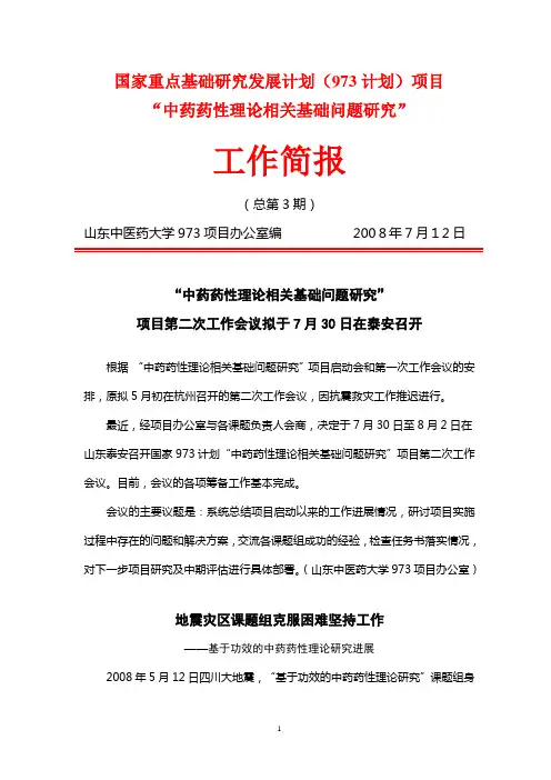 国家重点基础研究发展计划(973计划)项目
