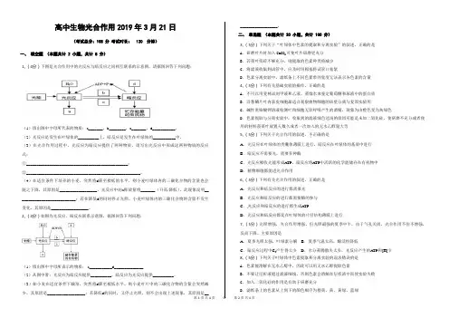 高中生物光合作用