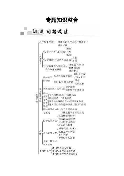 ～人教版高中生物同步辅导与检测 选修3专题1《基因工