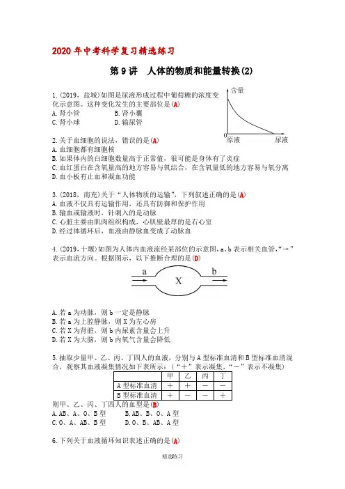 2020年中考科学复习精选练习第9讲 人体的物质和能量转换(2)