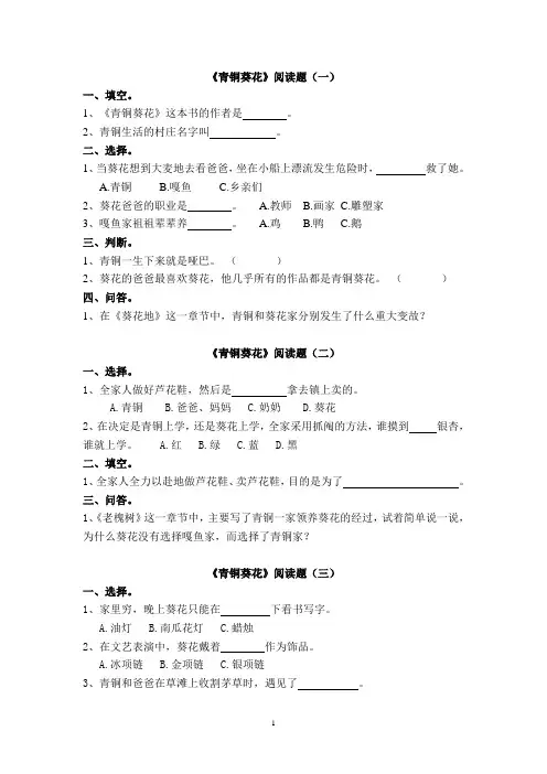 《青铜葵花》阅读题(一)