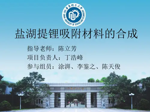 盐湖提锂吸附材料的合成