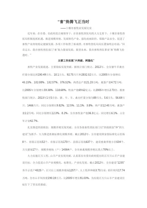 “畜”势腾飞正当时