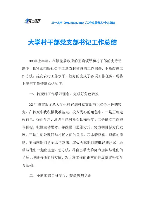 个人总结大学村干部党支部书记工作总结