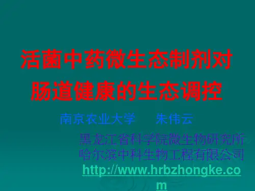 健康肠道与健康养殖ppt课件