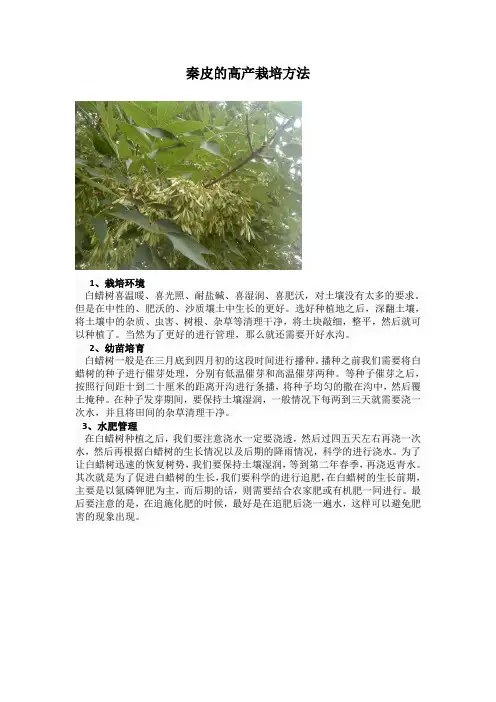 秦皮的高产栽培方法