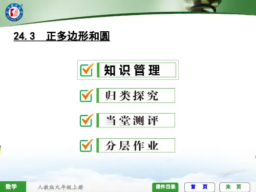 24.3 正多边形和圆 (复习)