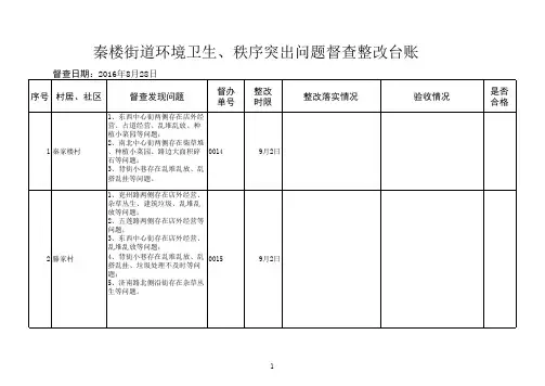 环境卫生突出问题整改台账