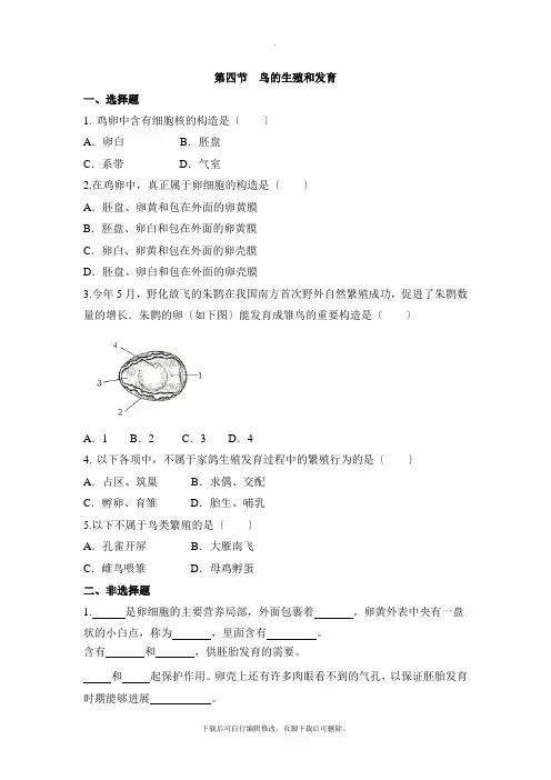 人教版生物八年级下册7.1.4《鸟的生殖和发育》同步练习
