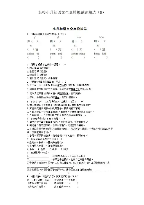 盐城市2019年名校小升初语文全真模拟试题 - 附答案 (3)