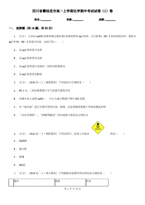 四川省攀枝花市高一上学期化学期中考试试卷(I)卷