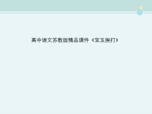高中语文苏教版精品课件《宝玉挨打》
