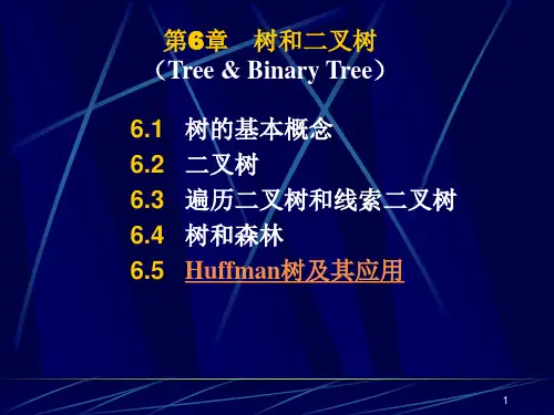 第六章  树和二叉树D