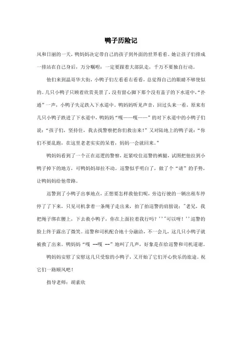 鸭子历险记_小学六年级作文500字