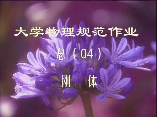 大学物理规范作业(本一)04解答