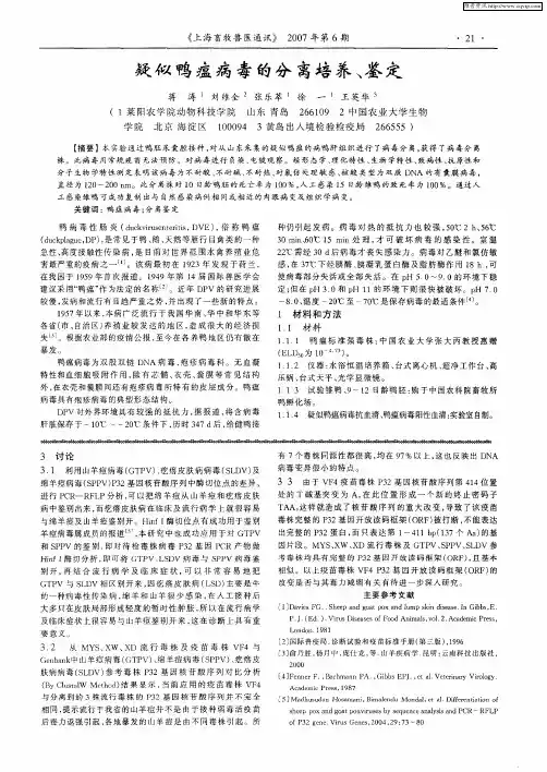 疑似鸭瘟病毒的分离培养、鉴定