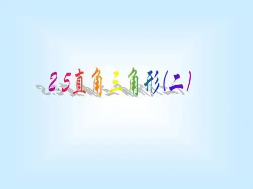 直角三角形1