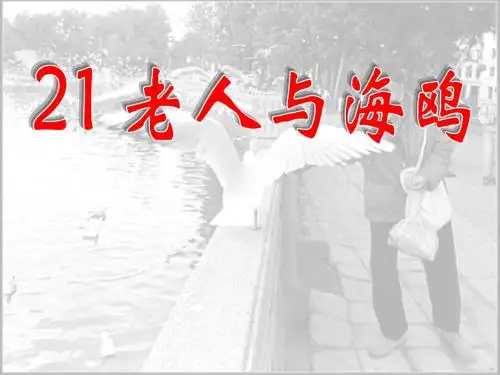 人教版小学语文六年级上册《 21 老人与海鸥》 名师课件_1