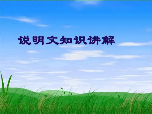 说明文知识讲解