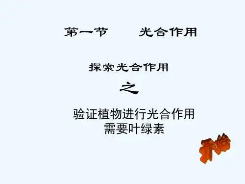 光合作用需要叶绿素 PPT