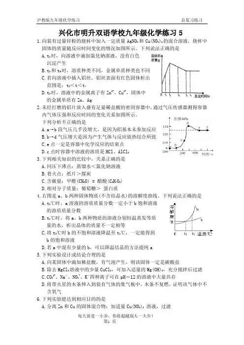 兴化市明升双语学校九年级化学练习五
