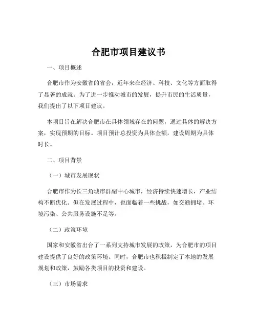合肥市项目建议书