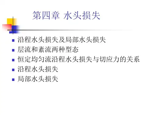 第四章_水头损失