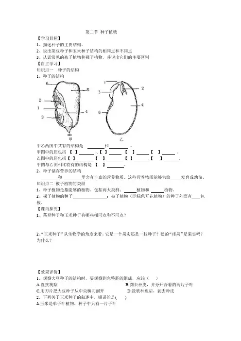 第二节种子植物学案