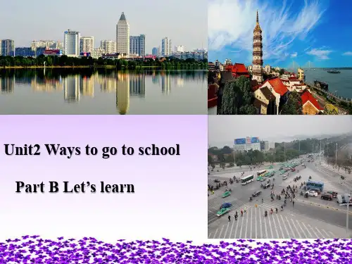 人教PEP六年级上册英语Unit 2 Ways to go to school课件