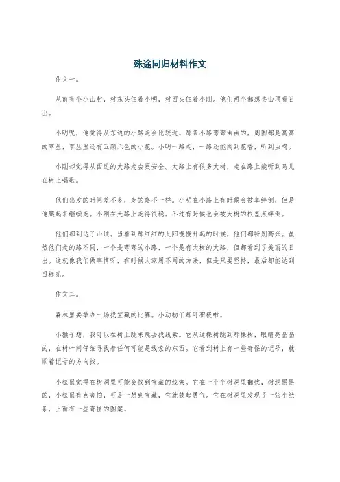 殊途同归材料作文