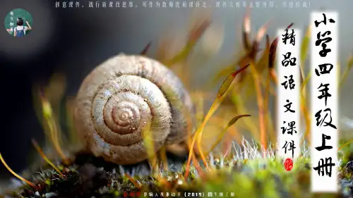 四年级上册 18 牛和鹅 优质课PPT课件(统编语文)