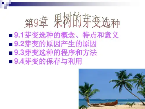 果树芽变选种PPT课件