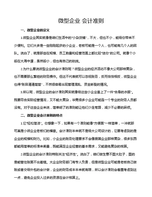 微型企业 会计准则