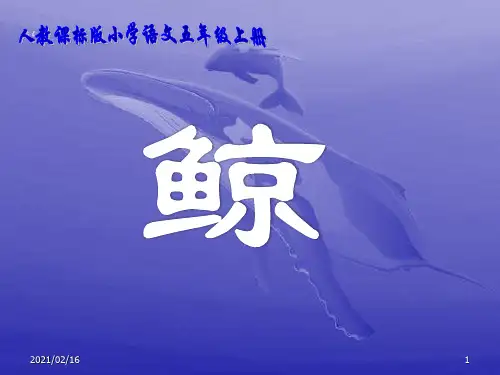 新课标人教版第九册语文鲸PPT优选课件
