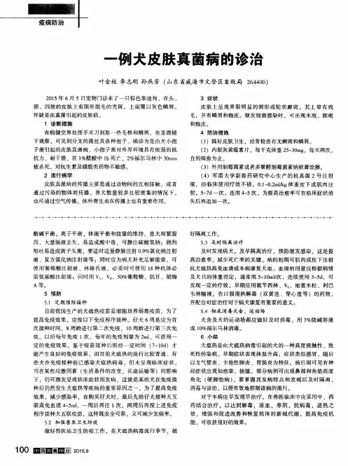 一例犬皮肤真菌病的诊治