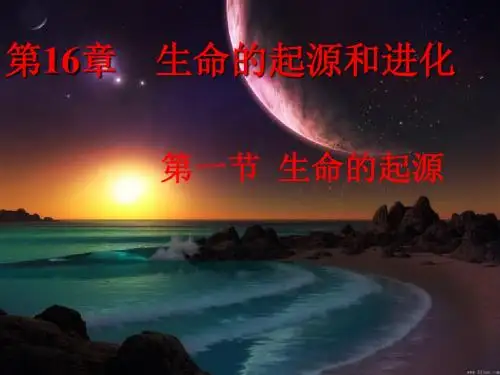生命的起源讲课PPT